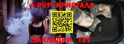 стафф Гатчина