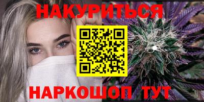 стафф Гатчина