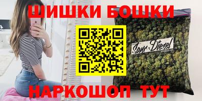 стафф Гатчина