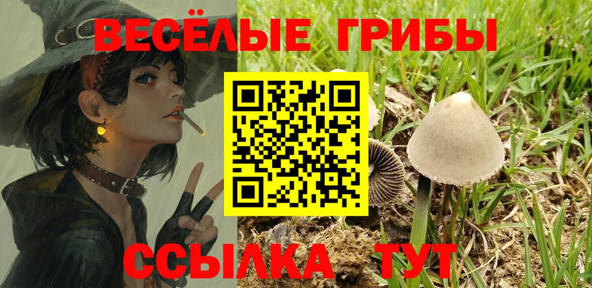 Галлюциногенные грибы Cubensis  Вход с VPN  Трёхгорный 