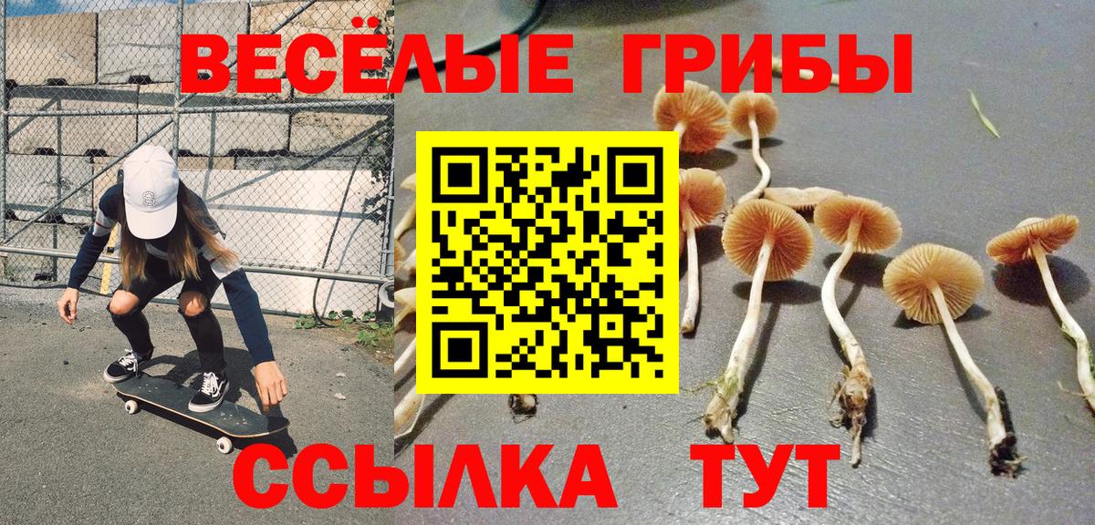 Псилоцибиновые грибы Magic Shrooms Трёхгорный